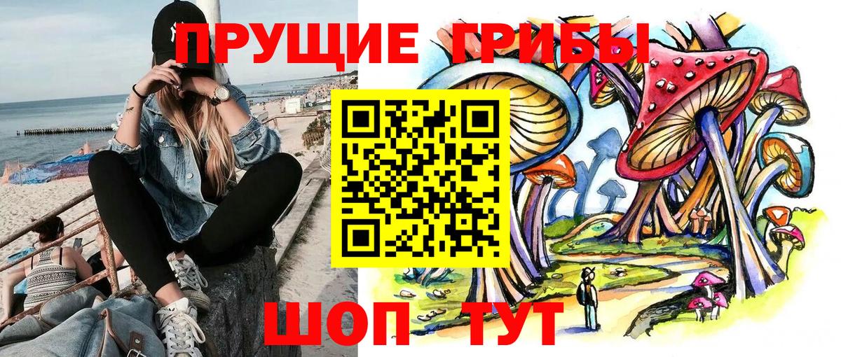 Людиново  Галлюциногенные грибы MAGIC MUSHROOMS  Вход с VPN  Псилоцибиновые грибы мухоморы 